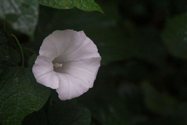 79.jpg