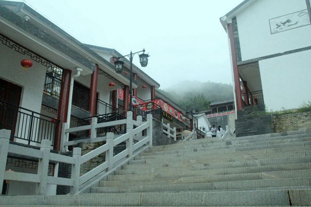 96.jpg