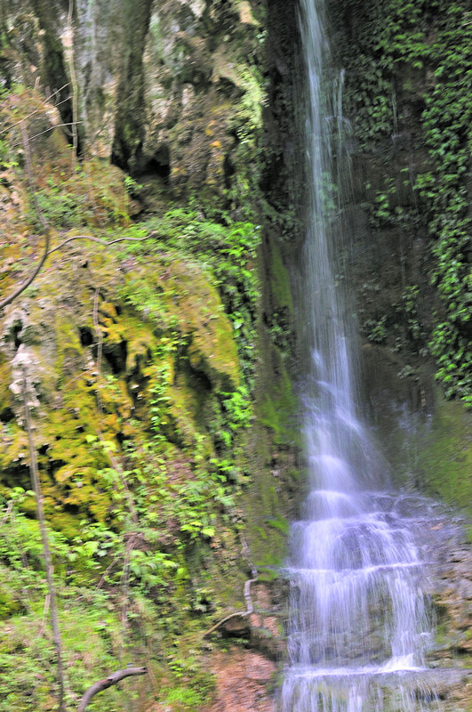 _dsc0223_副本.jpg