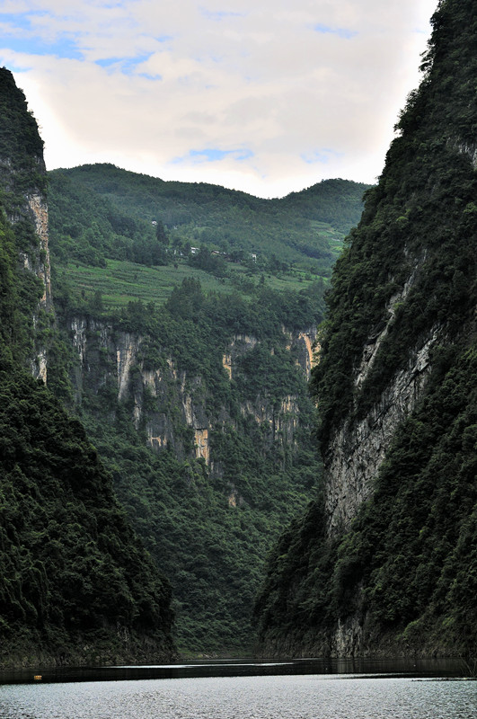 _dsc0264_副本.jpg