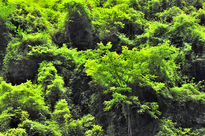 _dsc0274_副本_副本.jpg
