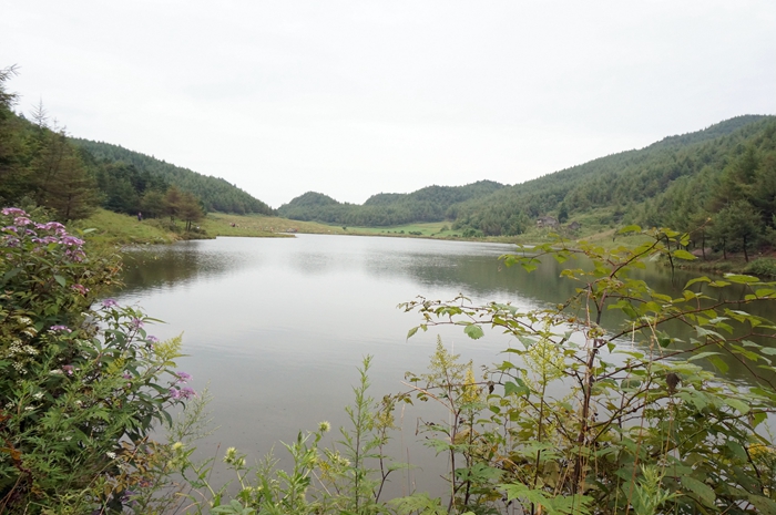 dsc04204.jpg