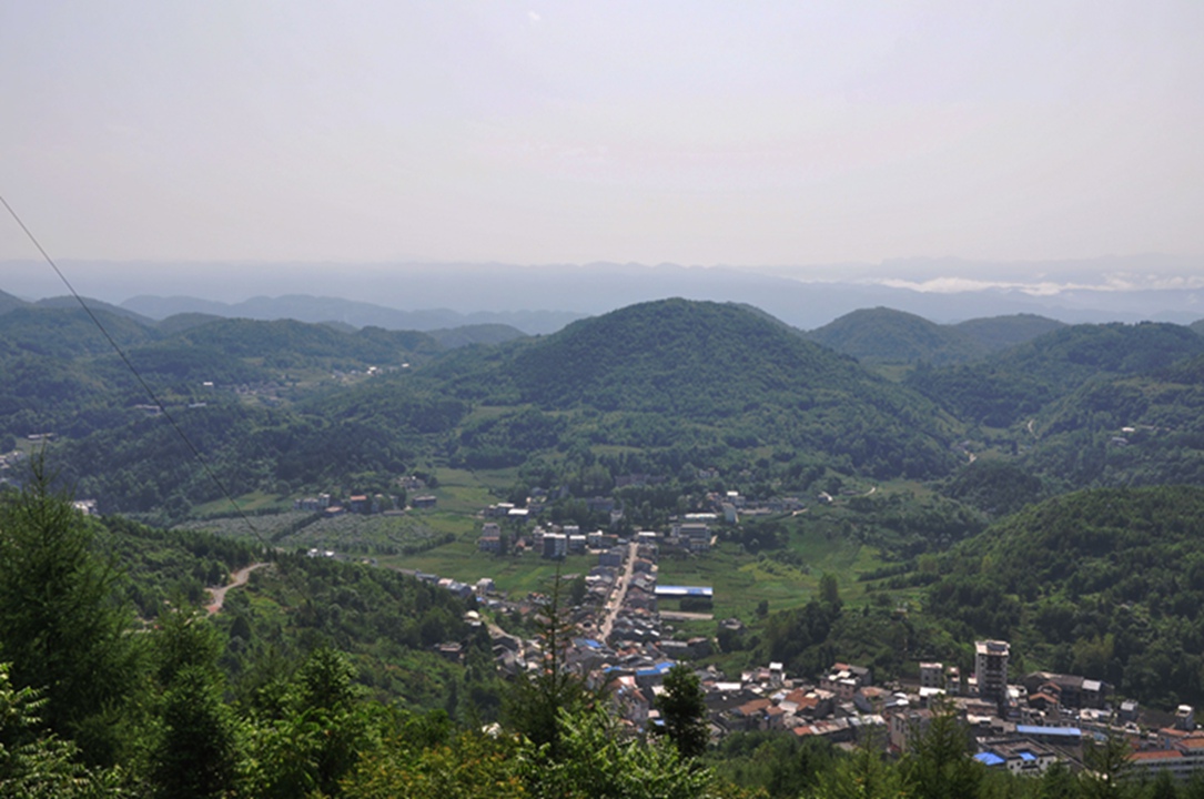 dsc_0569.jpg