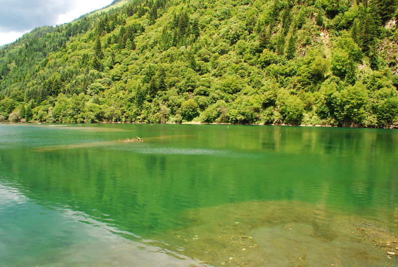 dsc_1209.jpg