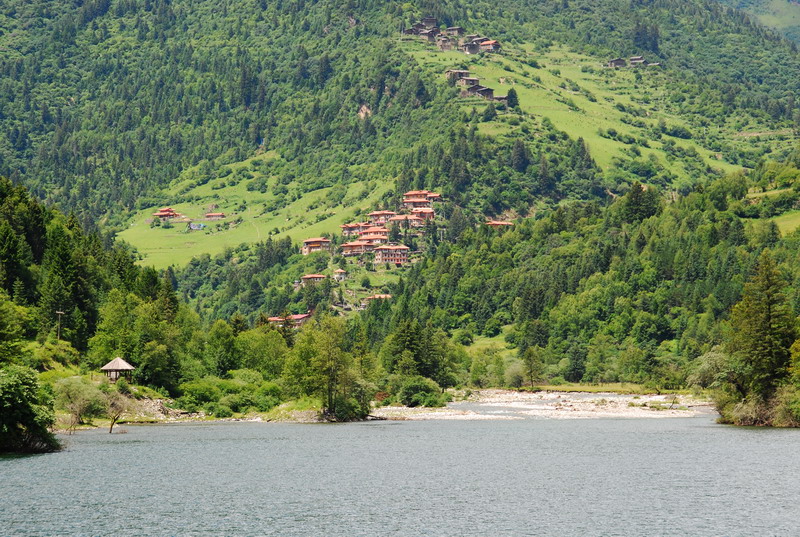 dsc_1213.jpg