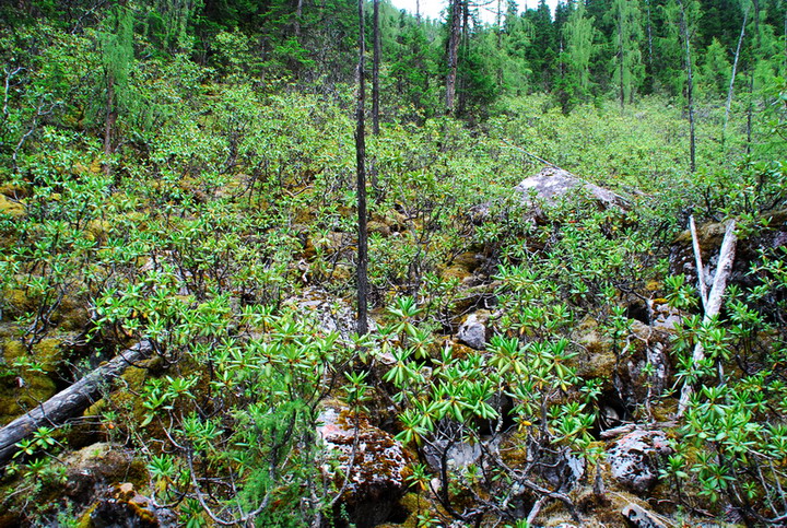 dsc_1235.jpg