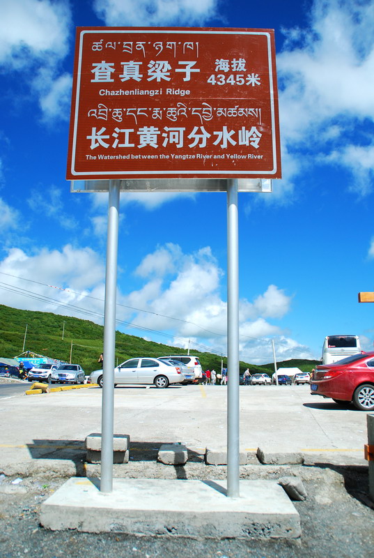 dsc_1203.jpg