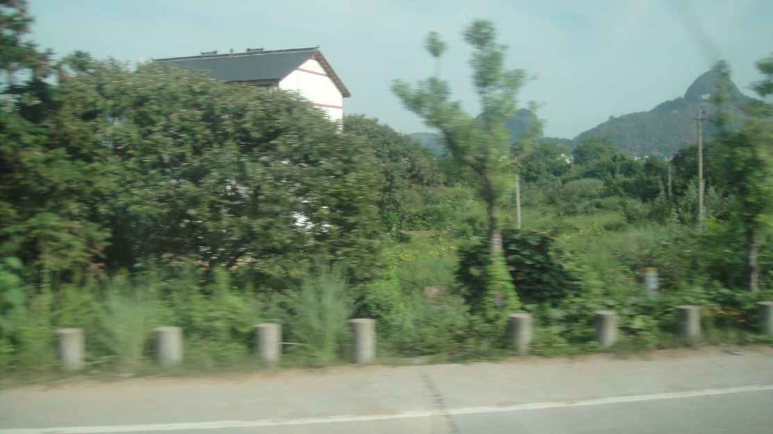 dsc03767.jpg