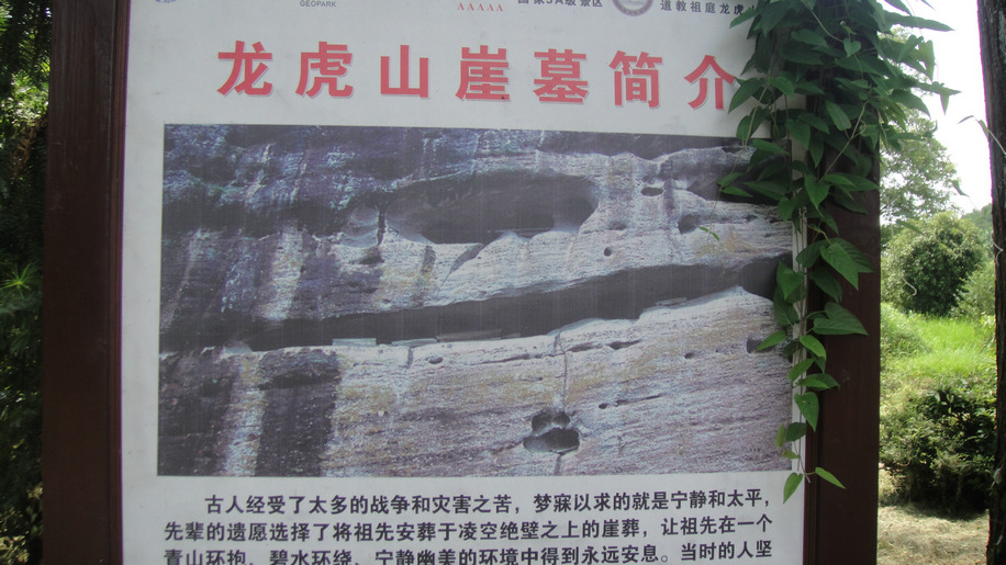 dsc03842.jpg