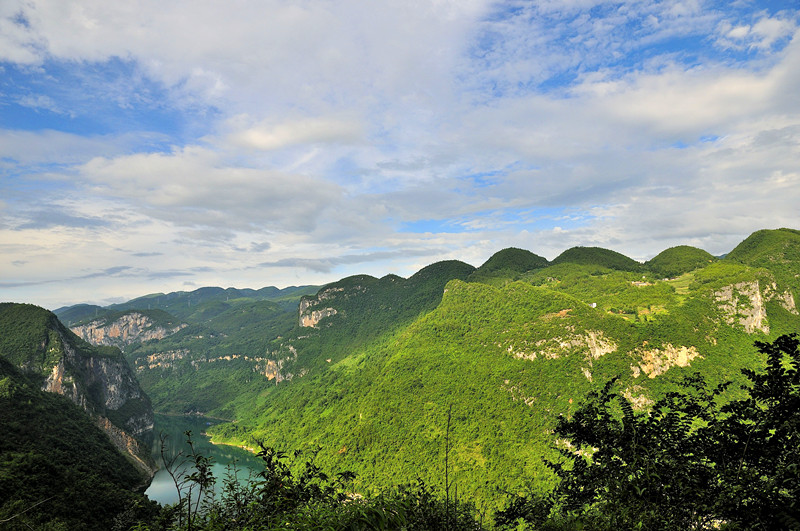_dsc0371_副本.jpg