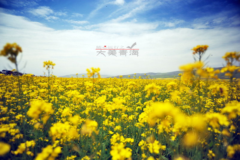 1sc_6639.jpg