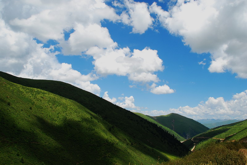 dsc_8599.jpg