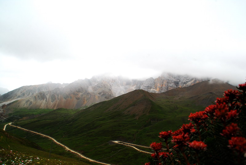 dsc_8795.jpg