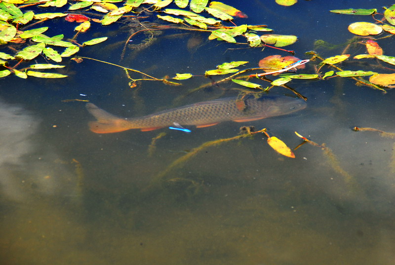 dsc_8714.jpg