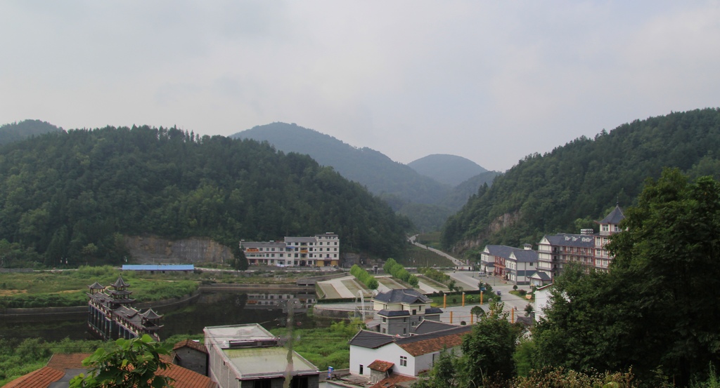 img_8350.jpg