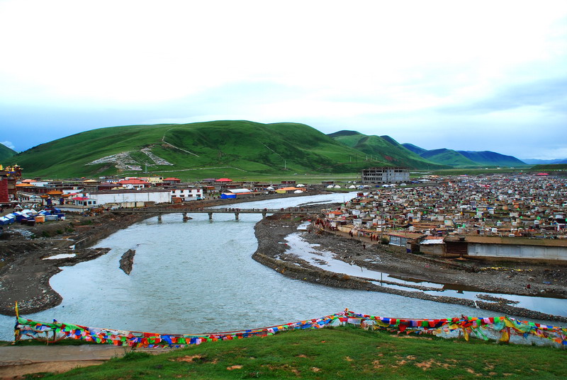 dsc_8864.jpg