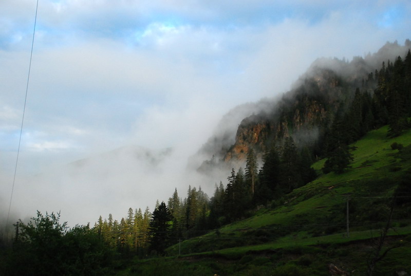 dsc_9011.jpg