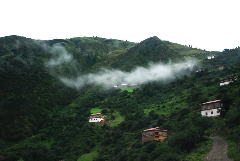 dsc_9028.jpg