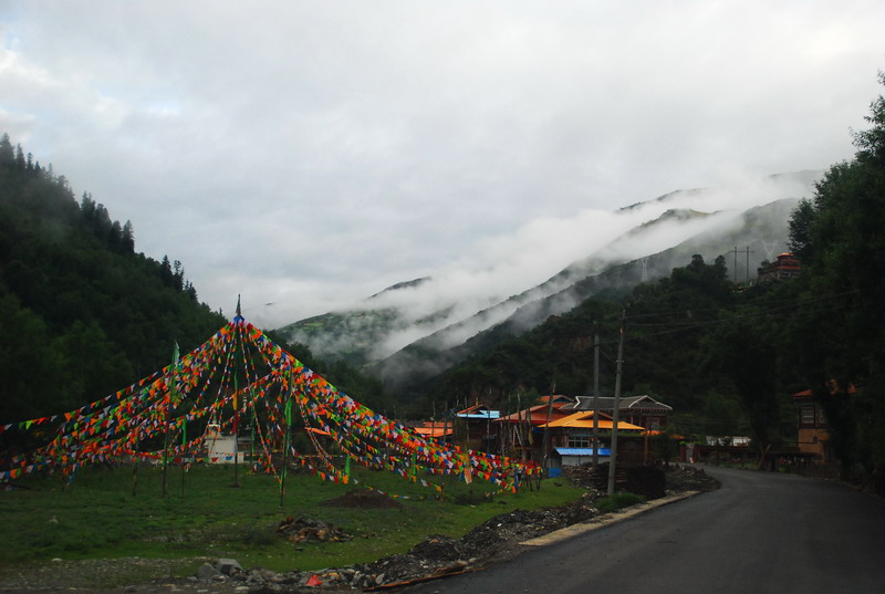 dsc_9033.jpg