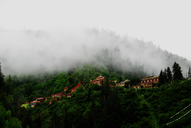 dsc_9051.jpg