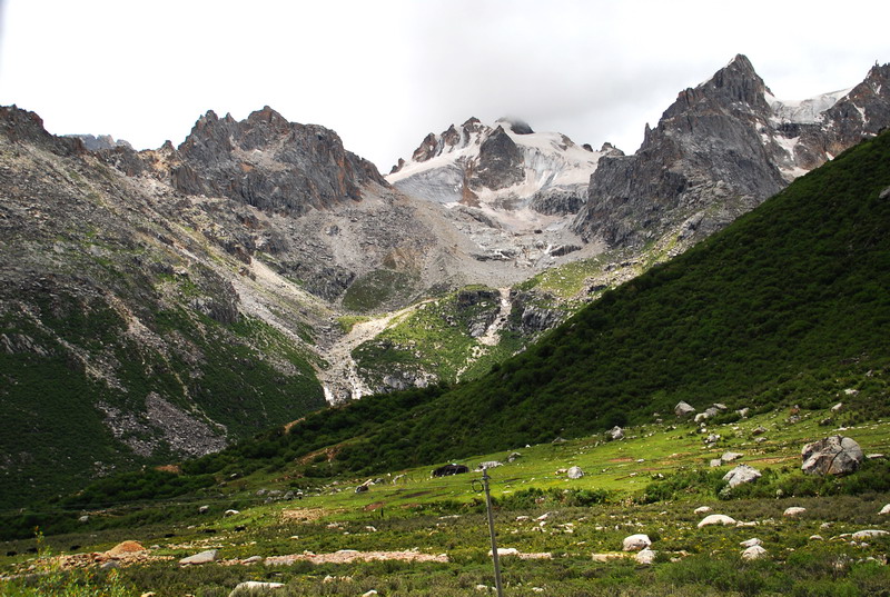 dsc_9339.jpg