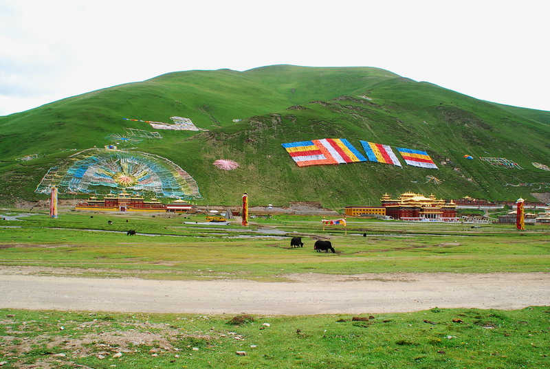 dsc_9518.jpg