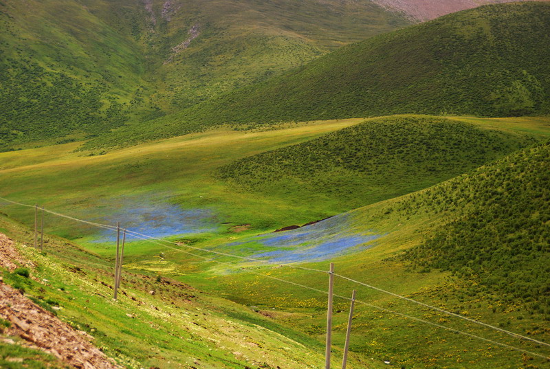 dsc_9482.jpg