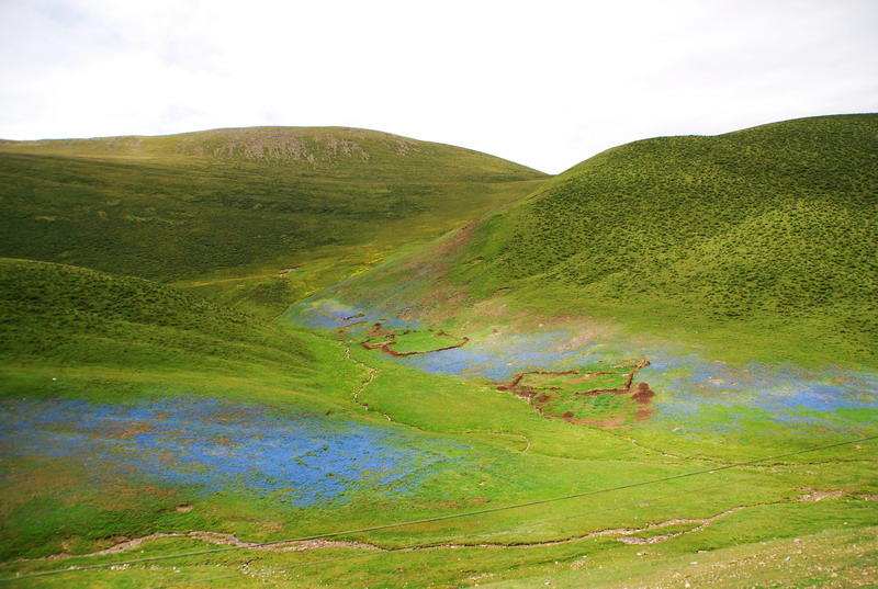 dsc_9497.jpg