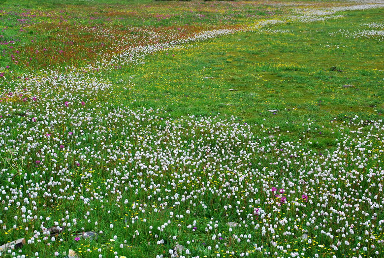 dsc_9546.jpg