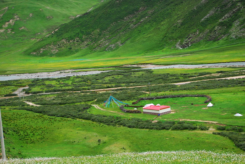 dsc_9580.jpg