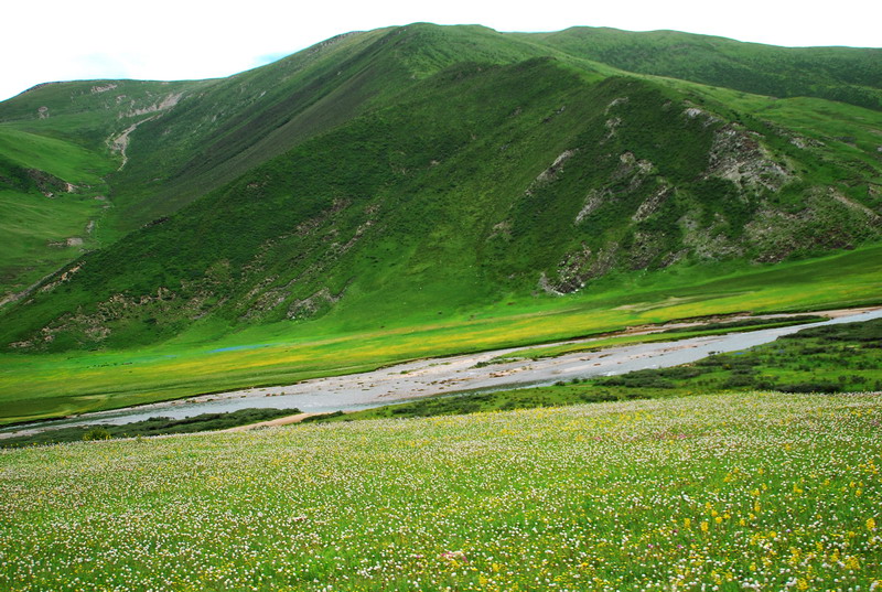 dsc_9588.jpg