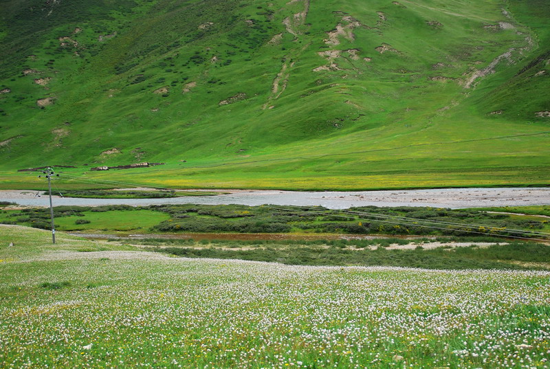 dsc_9592.jpg