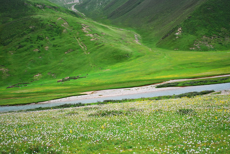 dsc_9600.jpg