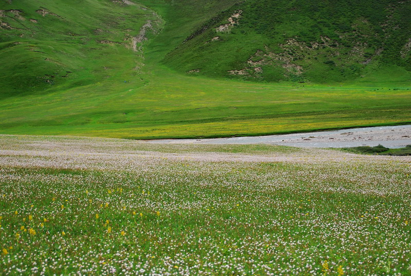 dsc_9595.jpg