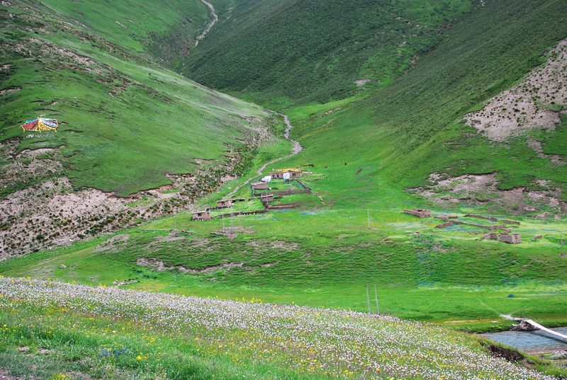 dsc_9603.jpg