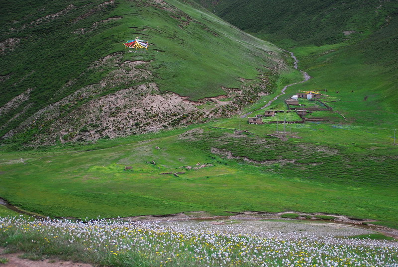 dsc_9608.jpg