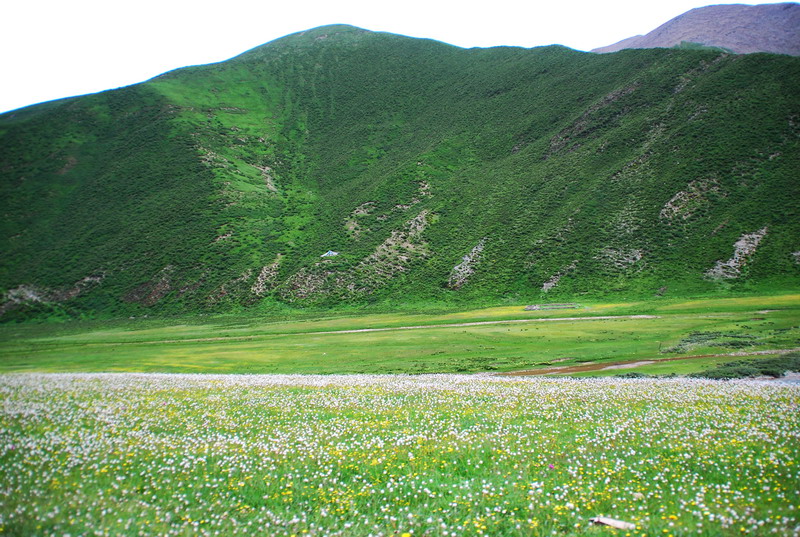 dsc_9612.jpg