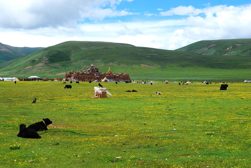 dsc_9620.jpg