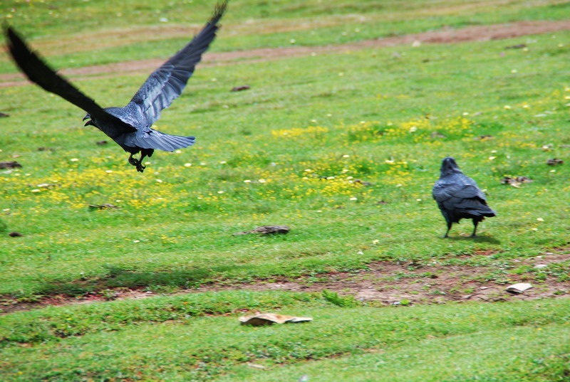 dsc_9624.jpg
