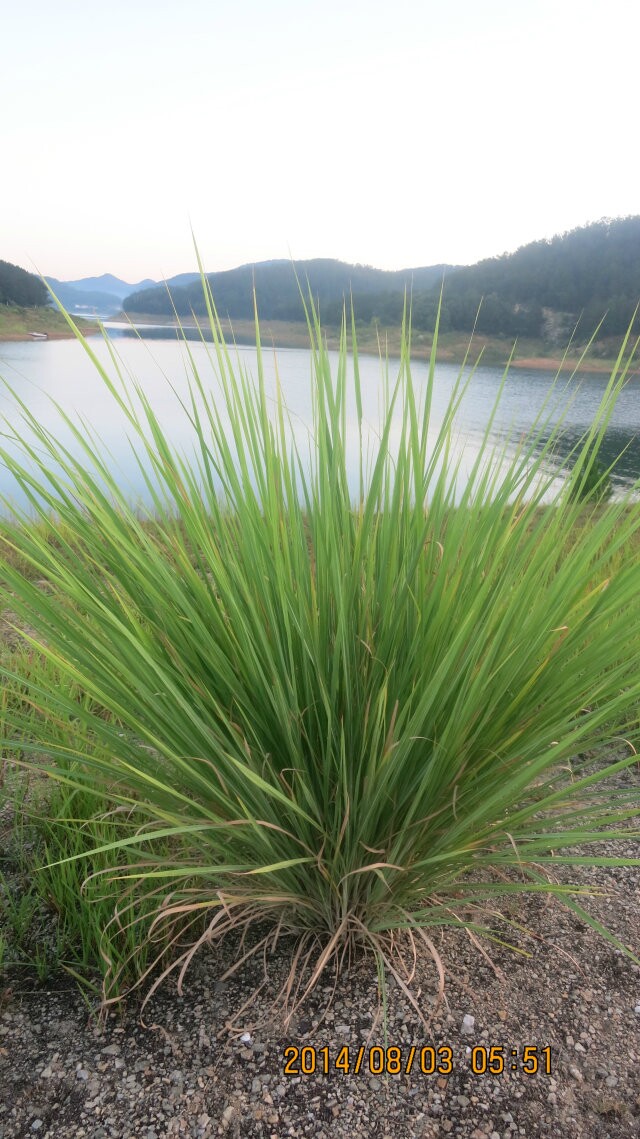 qqͼƬ20140808094738.jpg