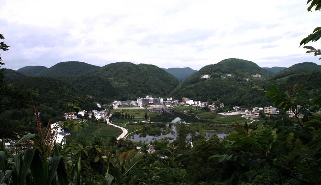 img_6260.jpg