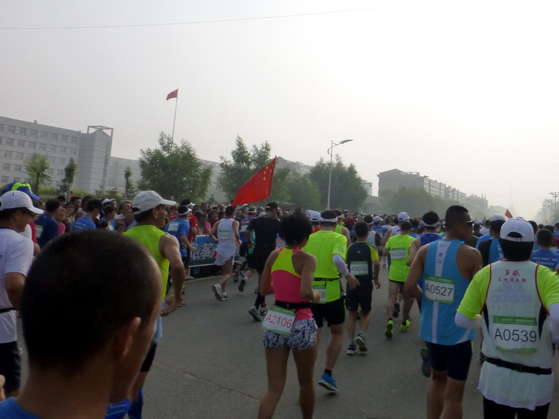 p1230393.jpg