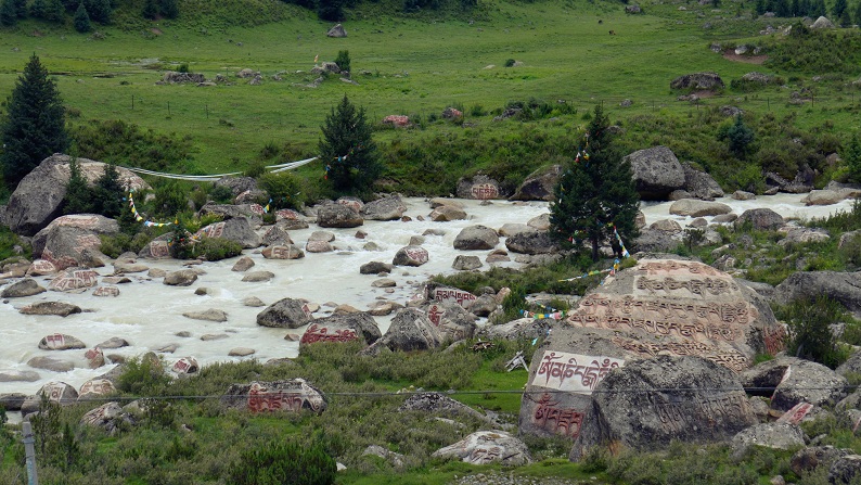 l1020824.jpg