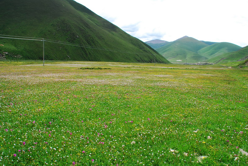 dsc_9769.jpg