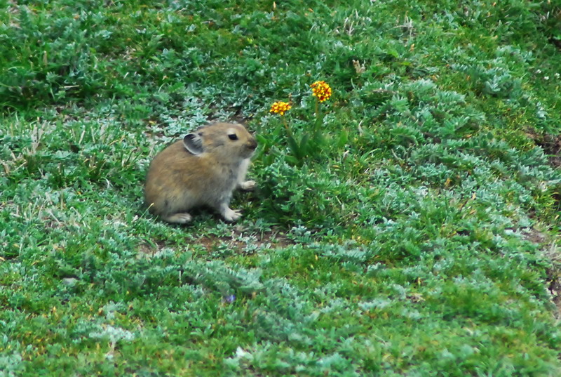 dsc_9841.jpg