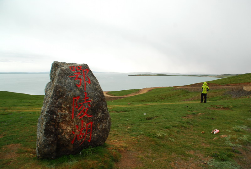 dsc_9908.jpg