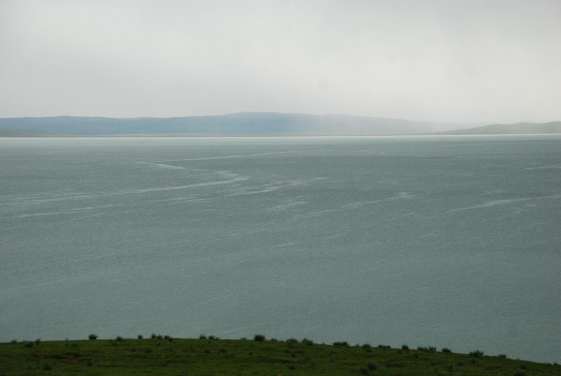 dsc_9911.jpg