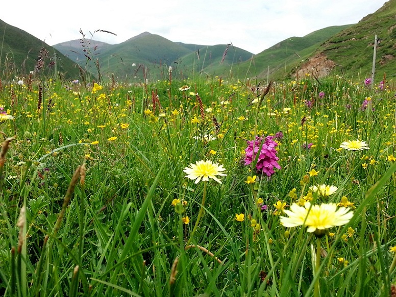 20140721_122750_.jpg