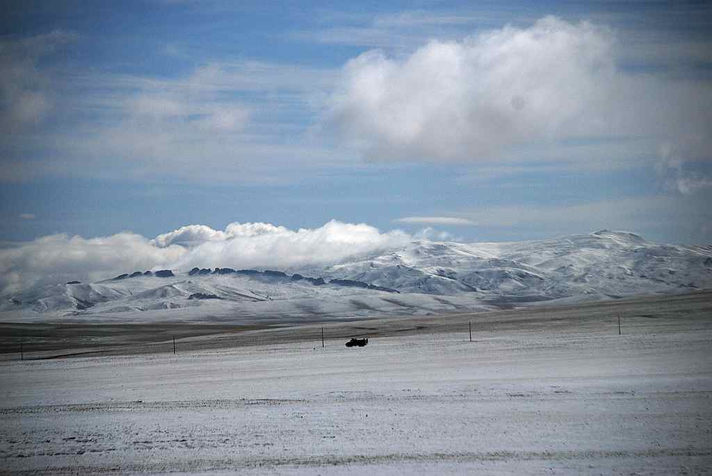 dsc_0007_.jpg
