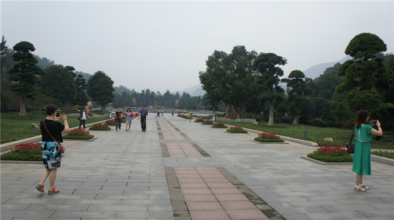dsc00838.jpg